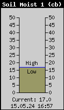 Soil moisture 20 cm